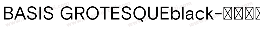 BASIS GROTESQUEblack字体转换